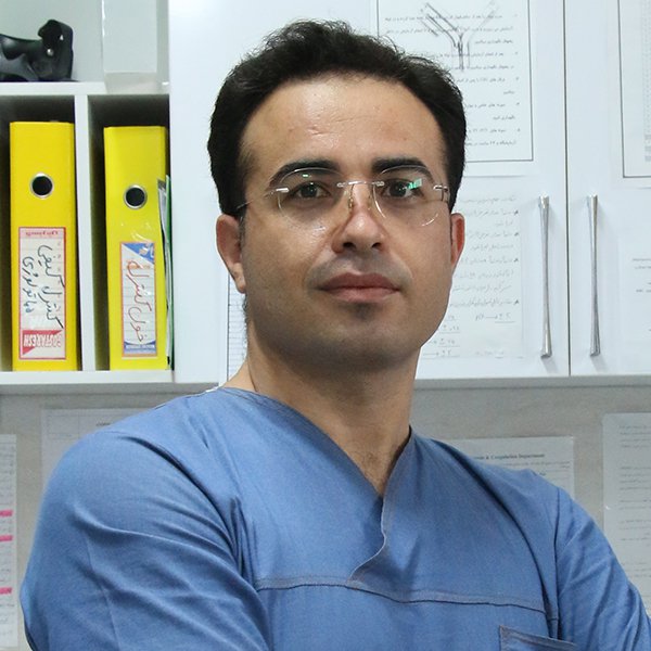 آقای مجرد